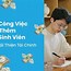 Ảnh Hồ Sơ Xin Việc