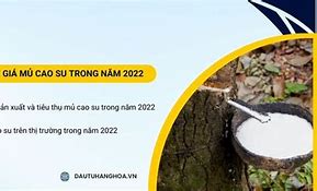 Giá Mủ Cao Su Tháng 3 Năm 2023 Pdf