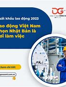 Lao Động Việt Nam Năm 2023