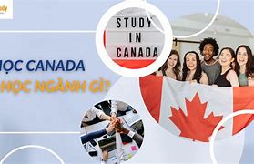 Lương Làm Thêm Du Học Sinh Canada Được Đi