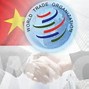 Tổ Chức Wto Đã Làm Gì Để Giúp Việt Nam